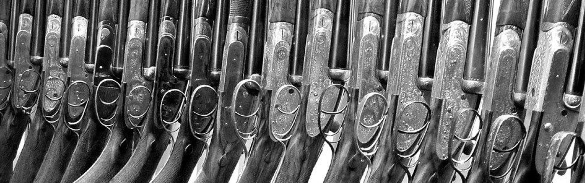 Mike the Gun - Guns for Sale Header