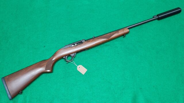 Ruger 10/22 .22lr Semi Automatic Rifle
