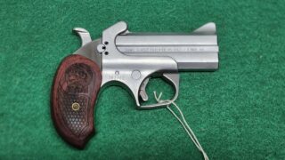 Bond Arms Snake Slayer .410 Derringer Pistol